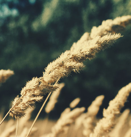 ddos在线攻击平台